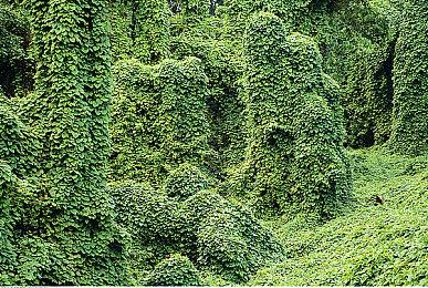 任天堂又有新发布会：8月7日晚聚焦独立游戏